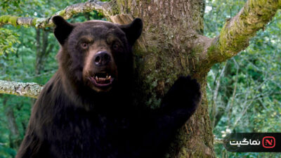 Cocaine Bear 2023
