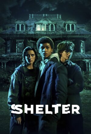 دانلود و تماشای سریال Harlan Coben's Shelter