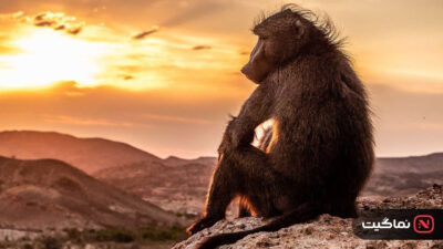 Planet Earth lll 2023