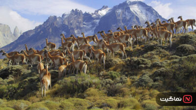 Our Great National Parks 2022