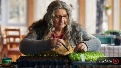 The Gardener's Year 2024