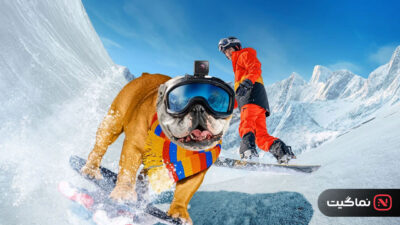 Powder Pup 2024