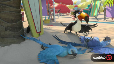 Rio 2011