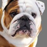 Walter