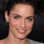 Amanda Peet