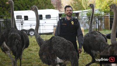 Animal Control 2023