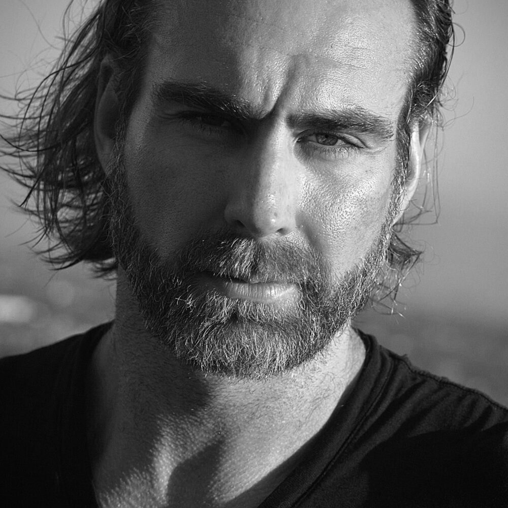 David B. Meadows