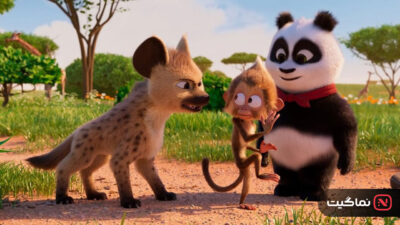 Panda Bear in Africa 2024