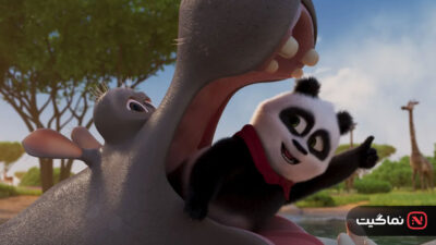Panda Bear in Africa 2024