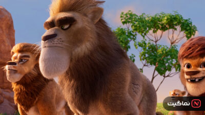 Panda Bear in Africa 2024