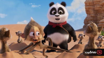 Panda Bear in Africa 2024