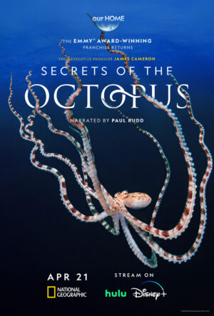دانلود و تماشای سریال Secrets of the Octopus 2024