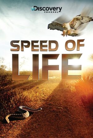 دانلود و تماشای سریال Speed of Life 2010