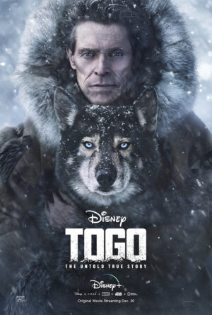 دانلود و تماشای فیلم Togo 2019
