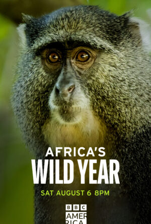 دانلود و تماشای سریال Africa's Wild Year 2024
