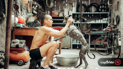 Black Dog 2024