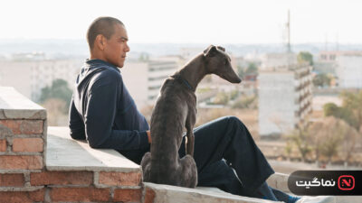 Black Dog 2024