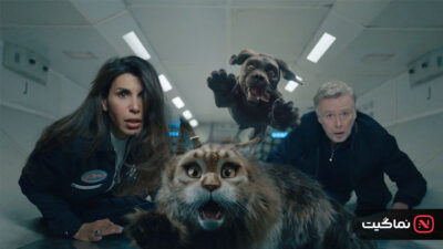 Cat & Dog 2024