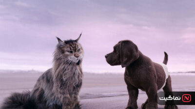 Cat & Dog 2024