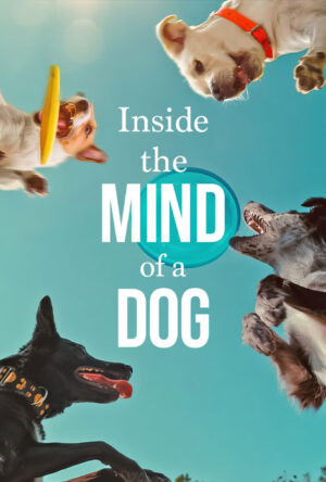 دانلود و تماشای فیلم Inside the Mind of a Dog 2024