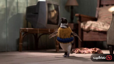 My Penguin Friend 2024