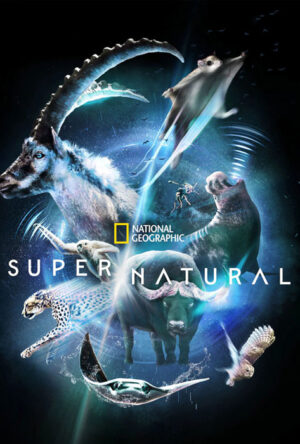 دانلود و تماشای سریال Super/Natural 2022