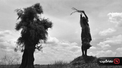 The Turin Horse 2011