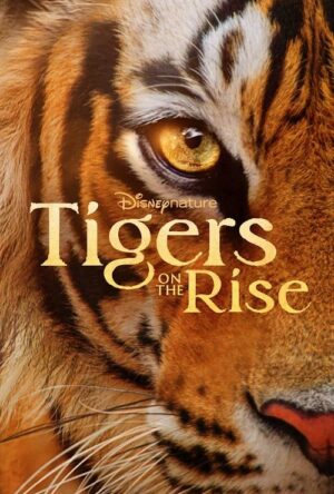دانلود و تماشای فیلم Tigers on the Rise 2024