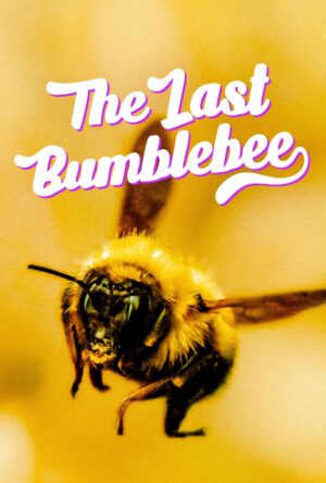 دانلود و تماشای فیلم The Last Bumblebee 2024