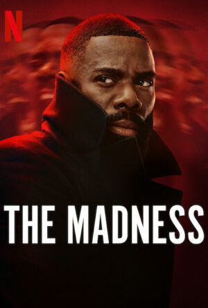 دانلود و تماشای سریال The Madness 2024