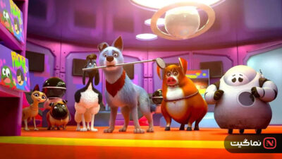 Pets United 2019