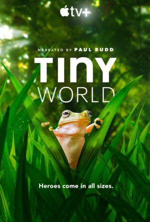 دانلود و تماشای سریال Tiny World 2020