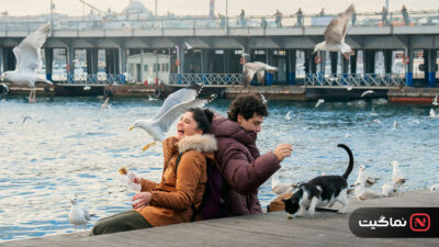 Istanbul Encyclopedia 2025