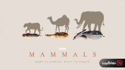 Mammals 2024