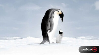 March of the Penguins 2005