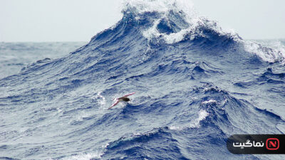 Oceans 2009