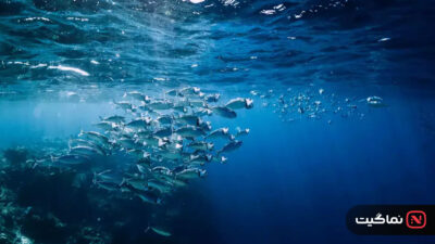 Oceans 2009