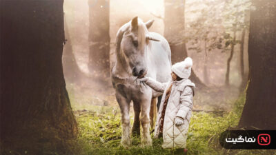 Tale of the Forest Unicorn 2025