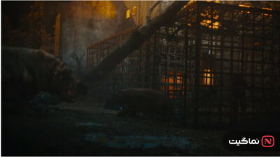 Hungry (2026)
