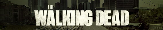The Walking Dead (2010)